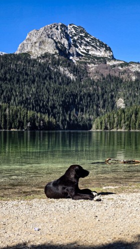 Fot. Beata Kośmider