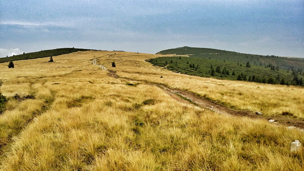 Połoniny masywu Vlădeasy (fot. Paweł Klimek)