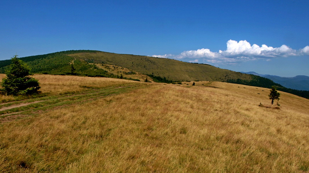 W górach Bihor (fot. Paweł Klimek)