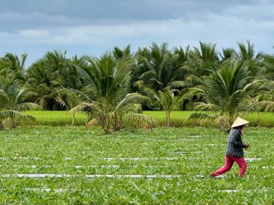 Na plantacji (fot. Renata Bartoszek i Grzegorz Brodecki)