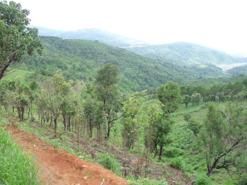 fot. Darek Dąbrowski