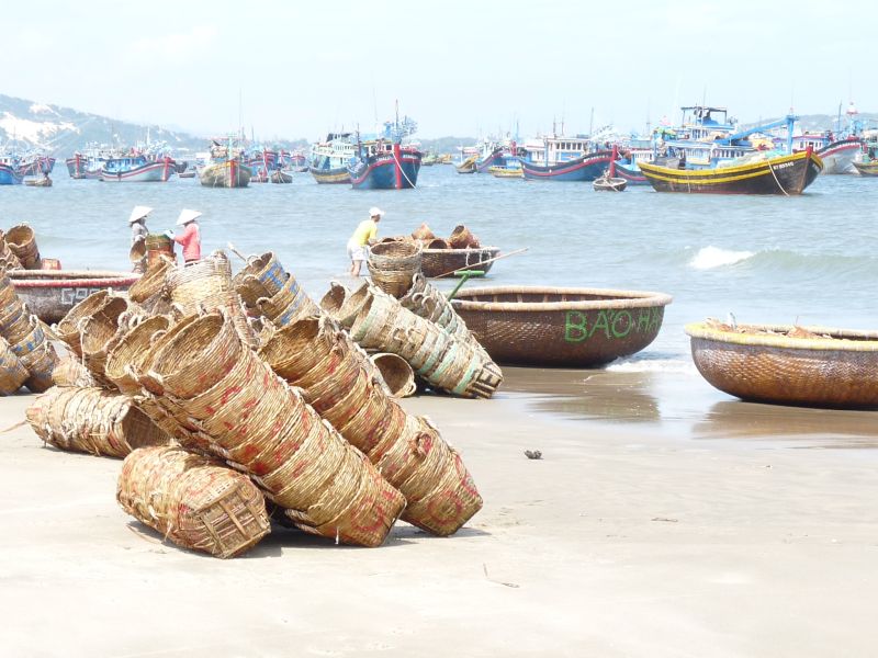 fot. Darek Dąbrowski