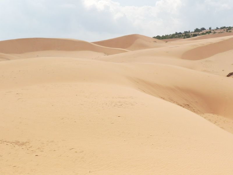 fot. Darek Dąbrowski