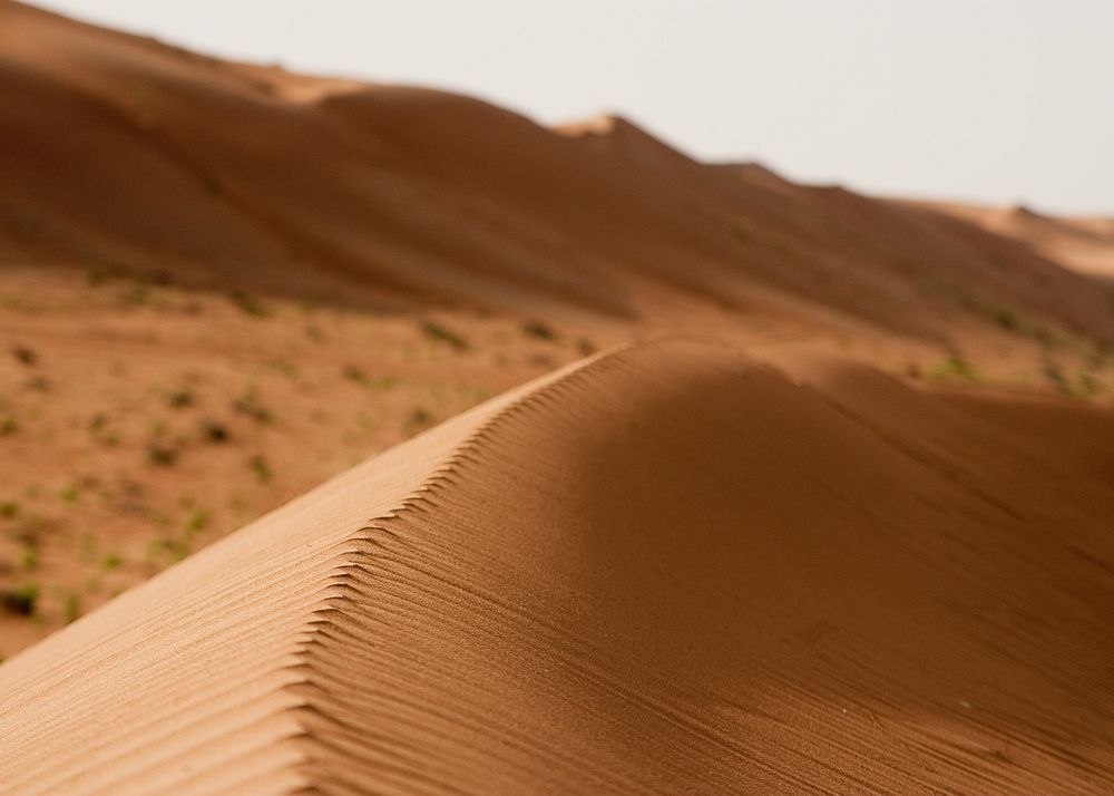 Pustynia Wahiba fot. Beata Muchowska