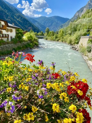 fot. Michał Skokowski 