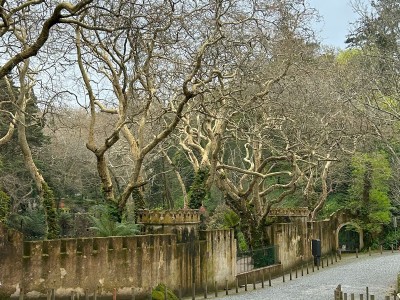 Sintra - park Pena, fot. B. Zajkowska