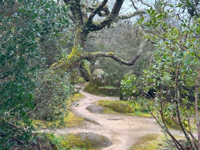 Serra de Sintra, fot. B. Zajkowska