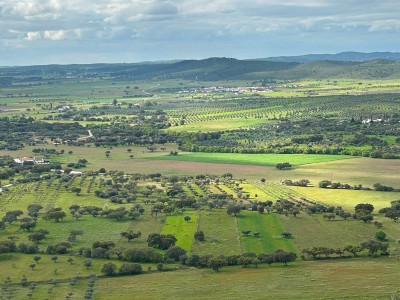 Okolice Monsaraz, fot. B. Zajkowska