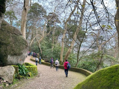 Serra de Sintra, fot. B. Zajkowska