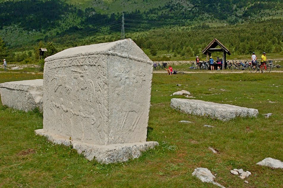 fot. Michał Pędziszewski