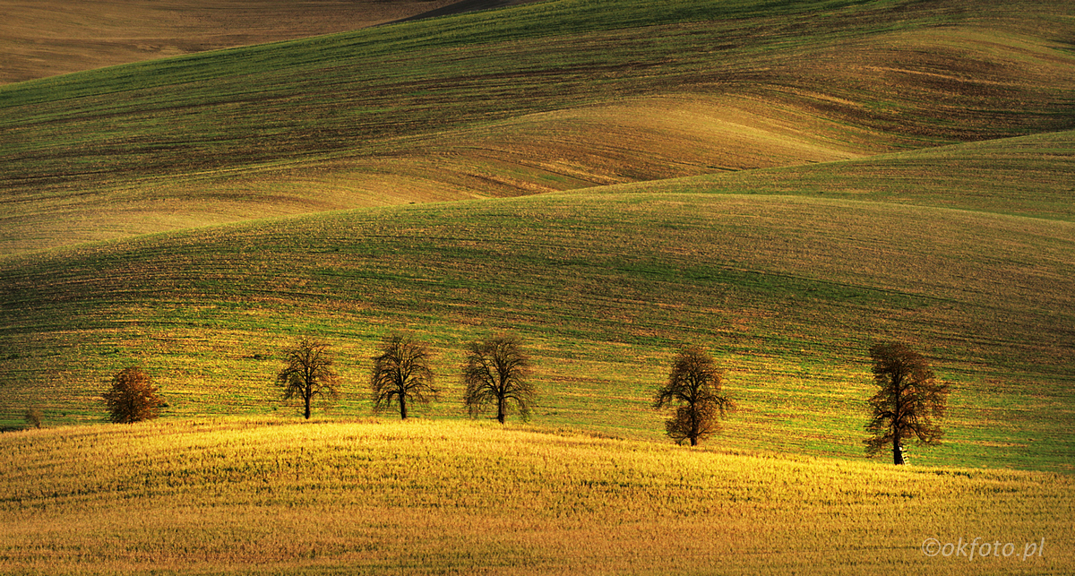 Morawska Toskania, fot. S. Adamczak