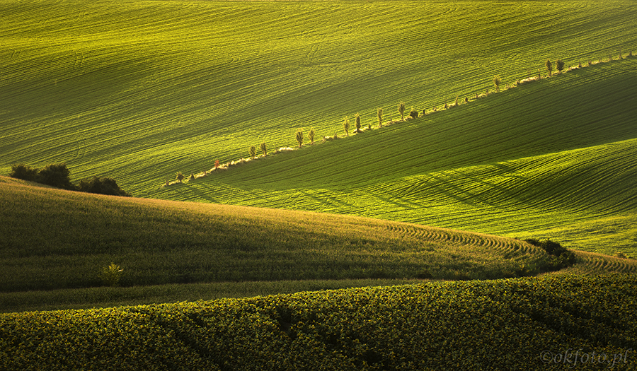 Morawska Toskania, fot. S. Adamczak