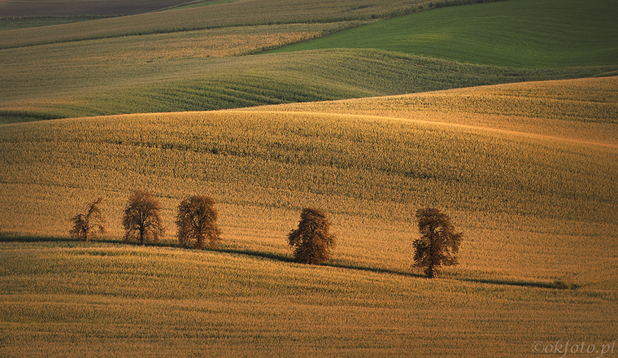 Morawska Toskania, fot. S. Adamczak