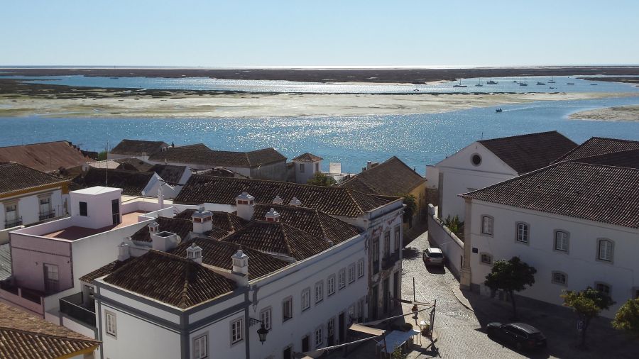 fot. A. Scheiterbauer