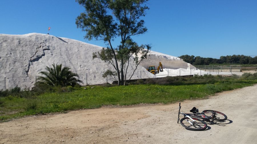 fot. A. Scheiterbauer