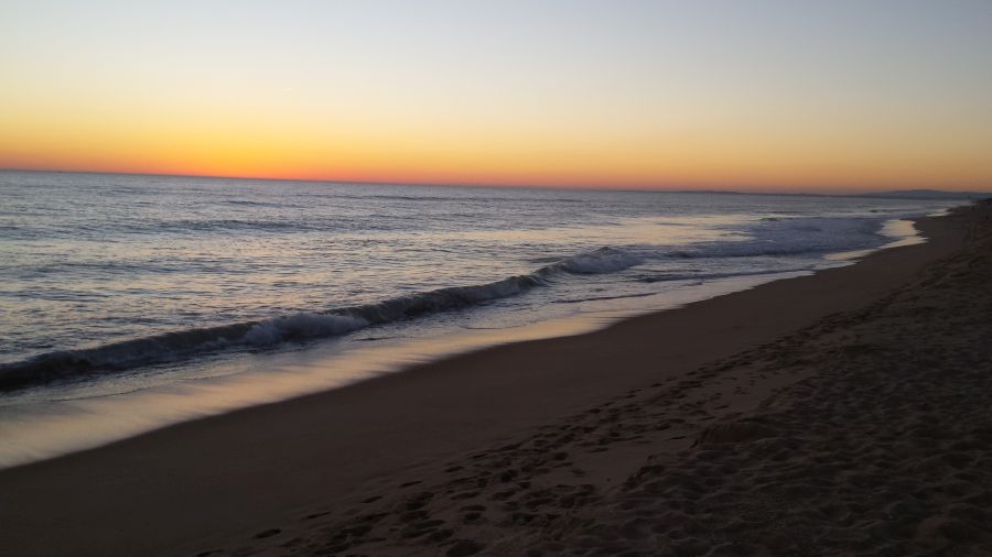 fot. A. Scheiterbauer