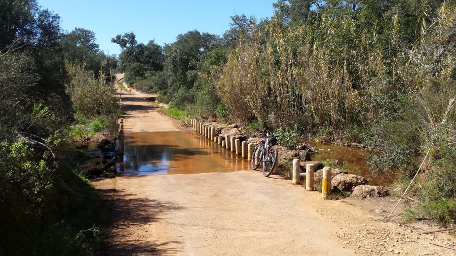 fot. A. Scheiterbauer