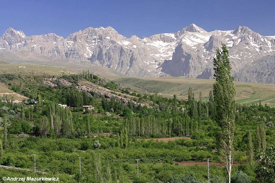 Aladag (fot. Katarzyna Mazurkiewicz) Aladag (fot. Katarzyna Mazurkiewicz)