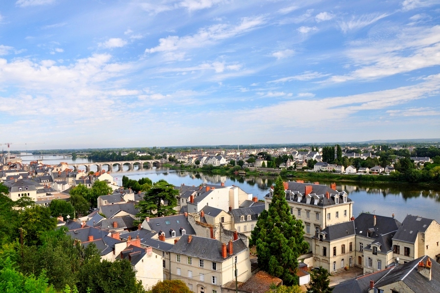 Widok na most nad Loarą z zamku w Saumur (fot. Lesław Szczubiała)