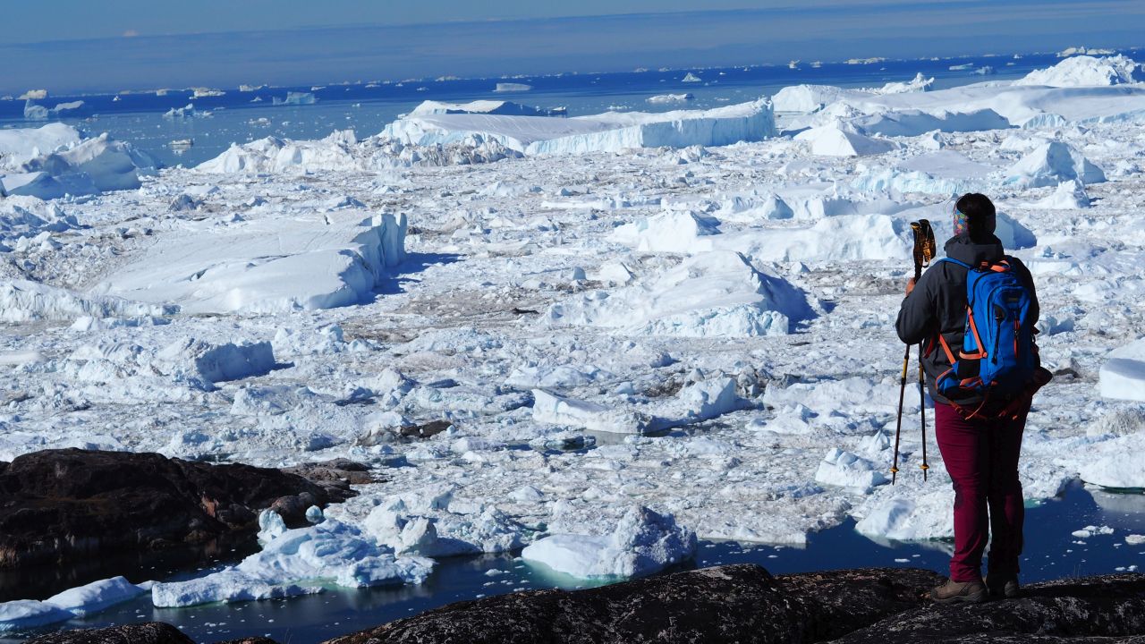 Jedna z głównych atrakcji wyjazdów, wpisana na listę UNESCO Zatoka Kangia, fot. Samuel Odrzykoski Jedna z głównych atrakcji wyjazdów, wpisana na listę UNESCO Zatoka Kangia, fot. Samuel Odrzykoski