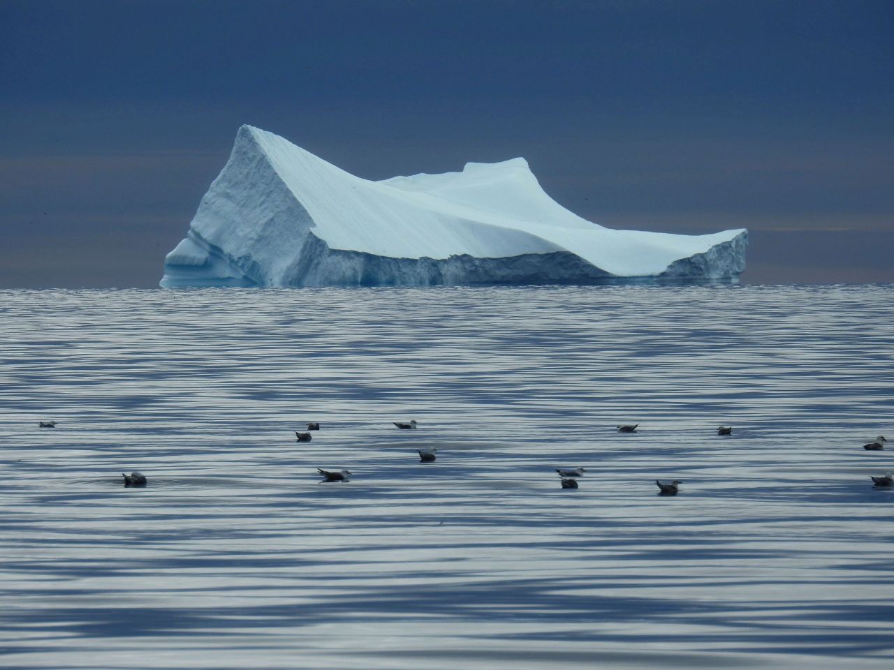 Zatoka Disko, fot. Samuel Odrzykoski Zatoka Disko, fot. Samuel Odrzykoski