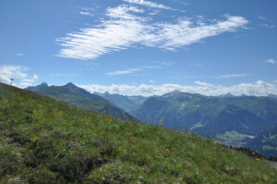 Alpejskie łąki w masywie Madrisa (fot. Ewa Styrkowiec)