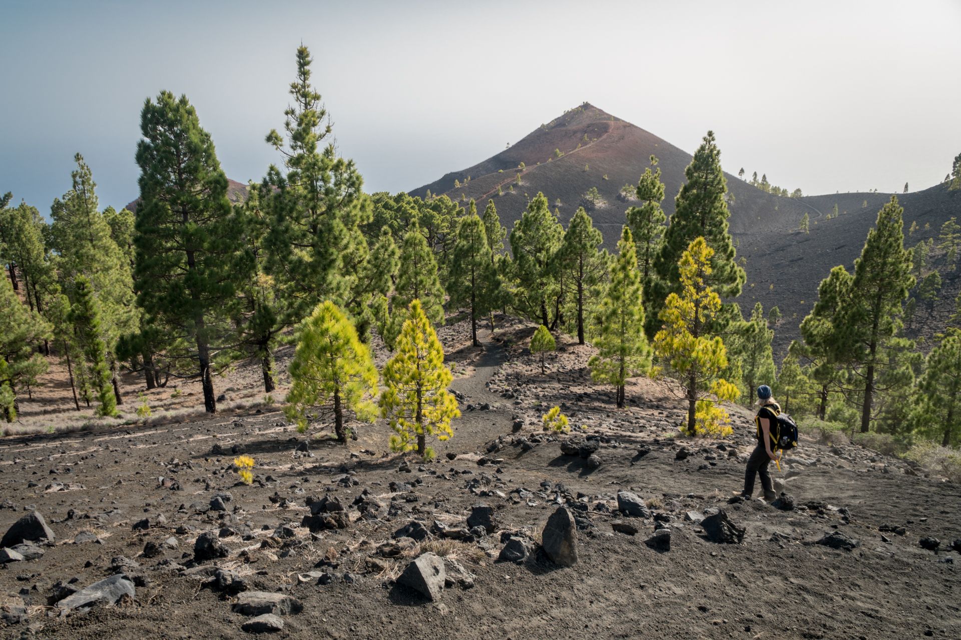 Ruta de los Volcanes (fot. Alicja Rapsiewicz)