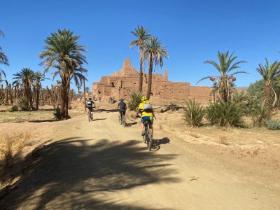 Przez gaje palmowe (fot. Kamil Wereszczyński)