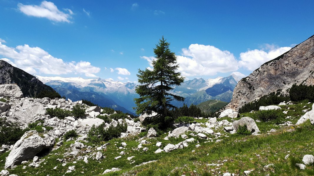 Widok na Adamello (fot. Paweł Klimek)