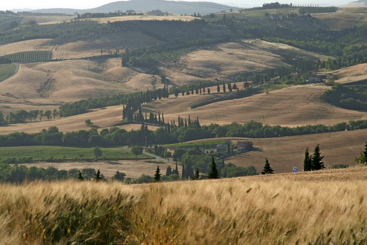 Dolina d'Orcia - klasyka Toskanii, (fot. T. Liptak)