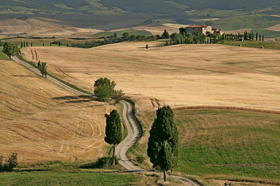 Okolice Pienzy, (fot. T. Liptak)