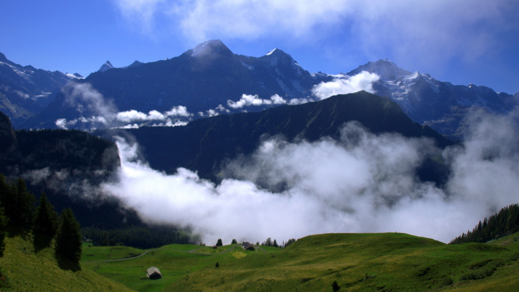 Alpejski poranek na Schynige Platte (fot. Paweł Klimek)