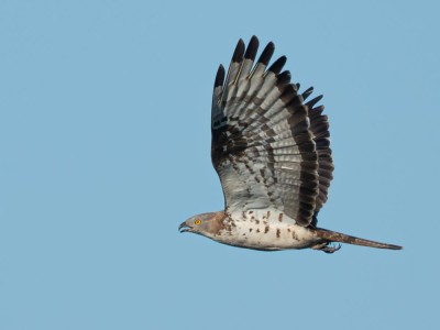 fot. Jan Rapczyński