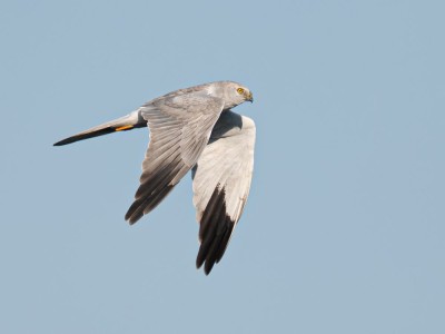 fot. Jan Rapczyński