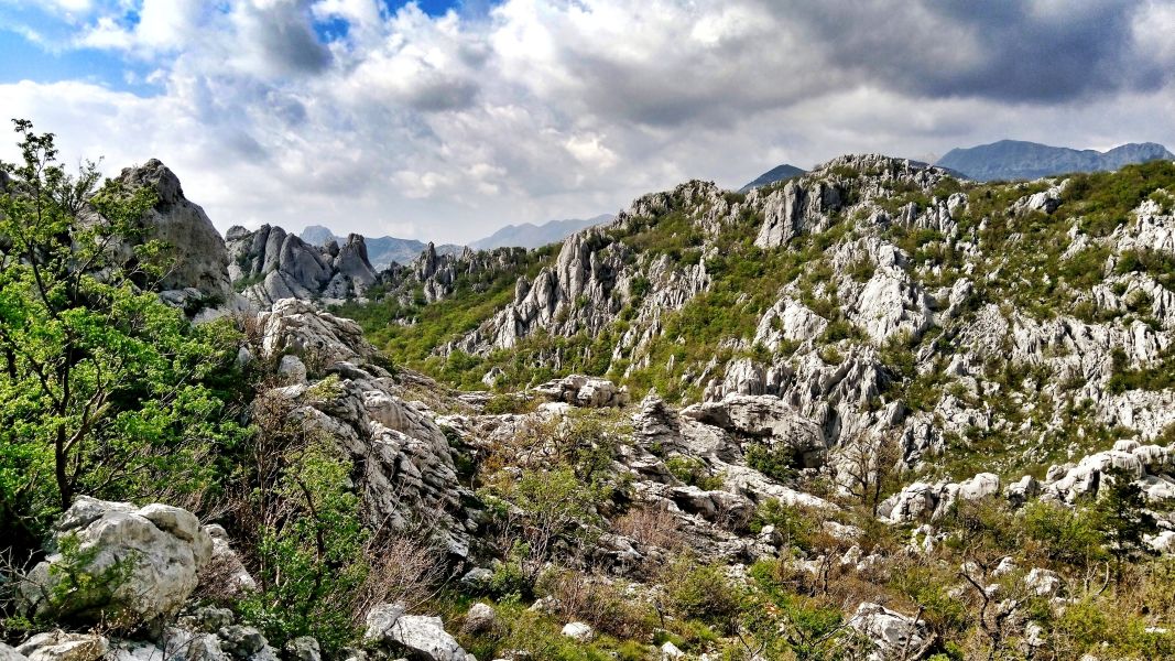 Wśród skał Paklenicy (fot. Paweł Klimek)