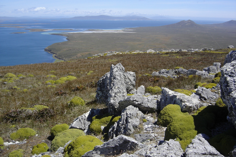 fot. Copyright SSL Falklands