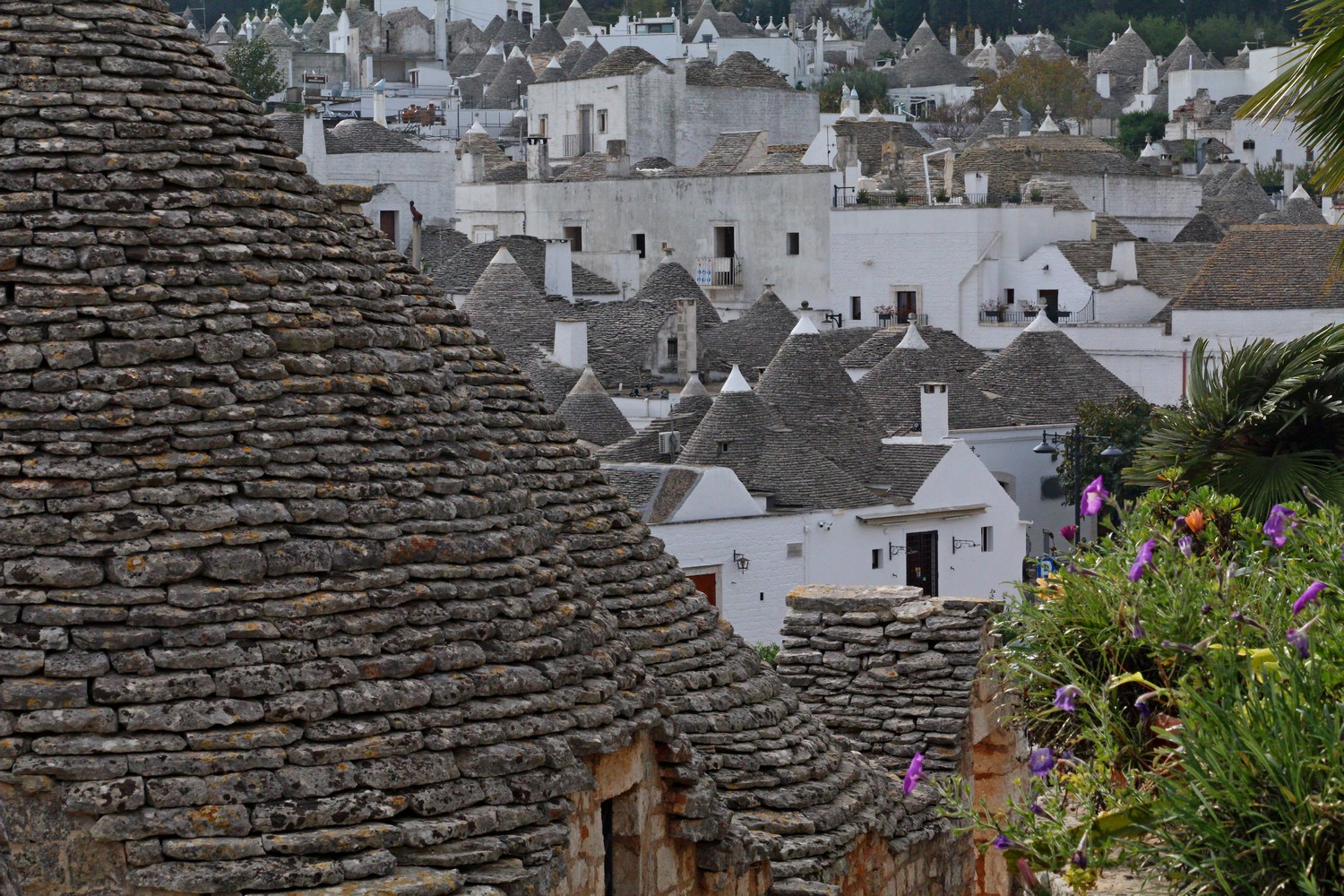 Alberobello  (fot. T. Liptak)