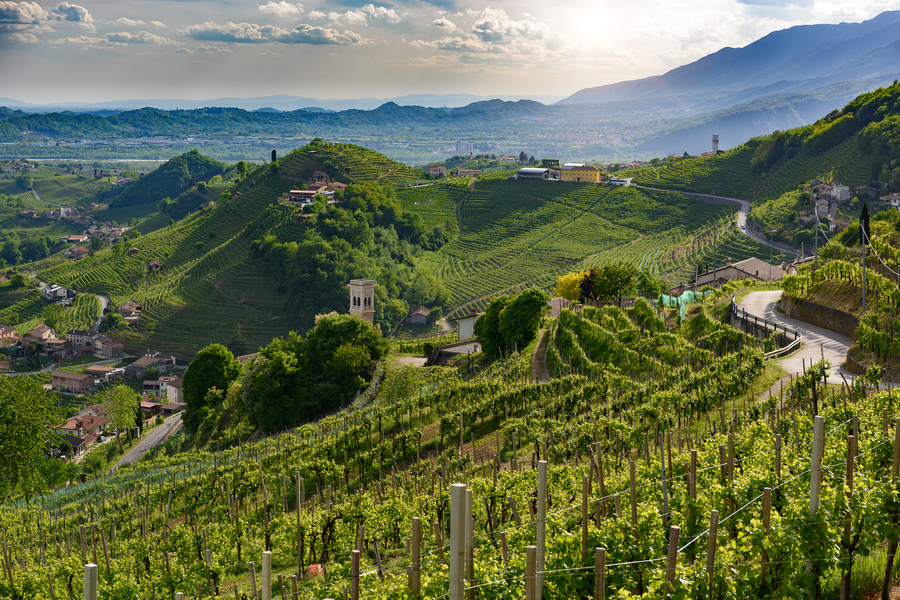 Wzgórza Prosecco - Valdobbiadene