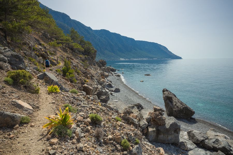 Na szlaku Agia Roumeli - Loutro (fot. Marek Kędzierski)