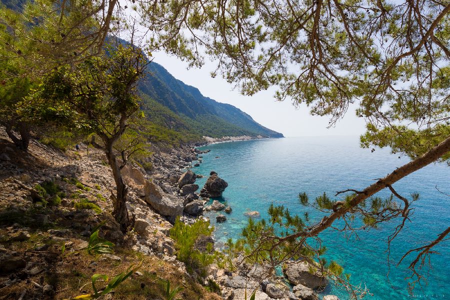 Na szlaku Agia Roumeli - Loutro (fot. Marek Kędzierski)