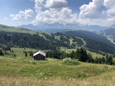 Wędrówka przez płaskowyż Pralongia (fot. Paweł Klimek)