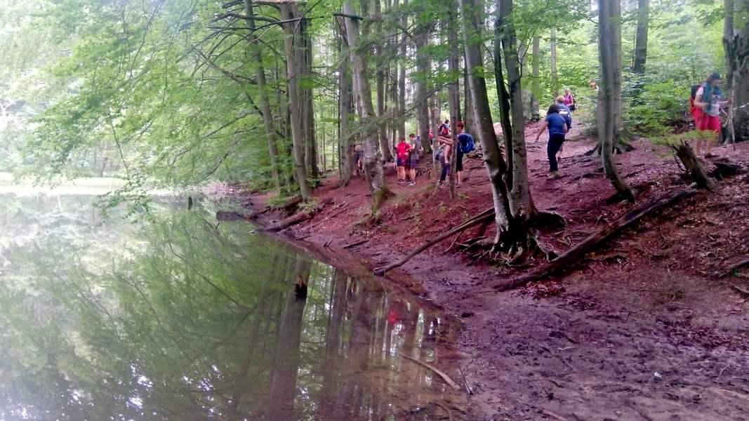 Nad Jeziorkami Duszatyńskimi (fot. Paweł Klimek)