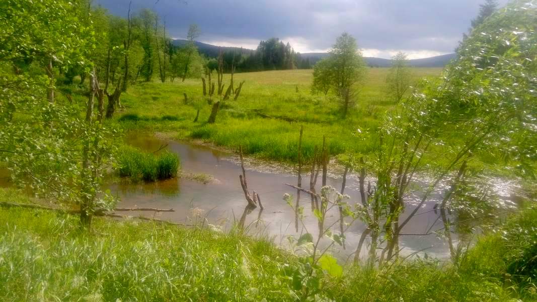 Tu kiedyś była wioska Bukowiec… (fot. Paweł Klimek)