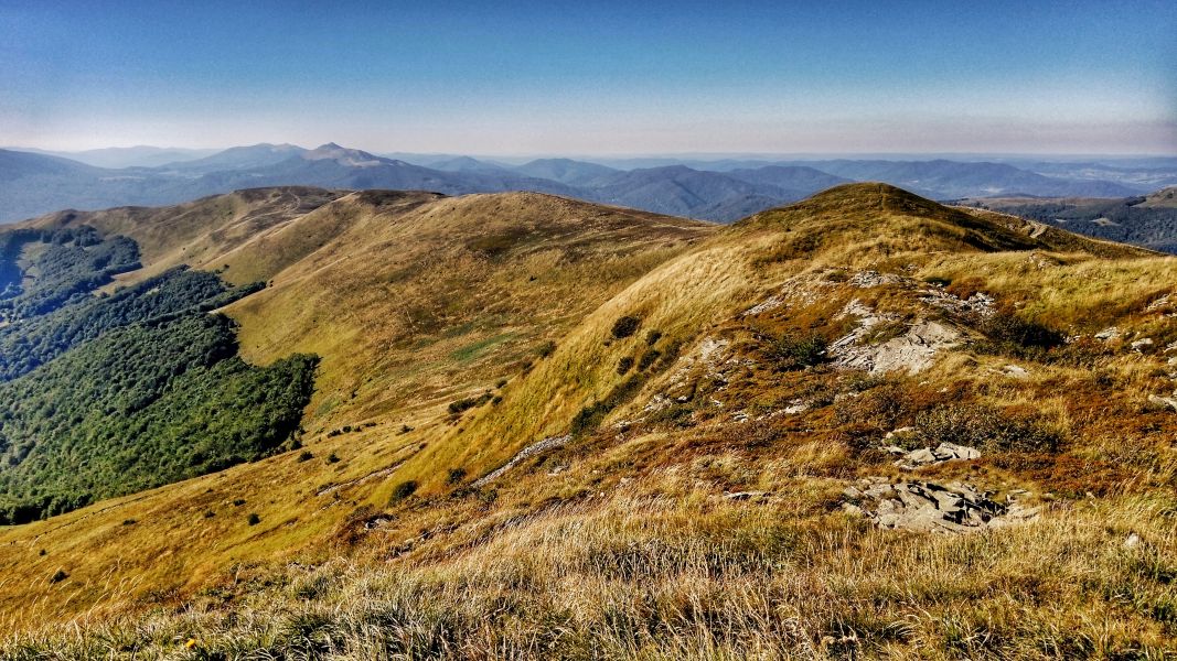 Połonina Szerokiego Wierchu (fot. Paweł Klimek)