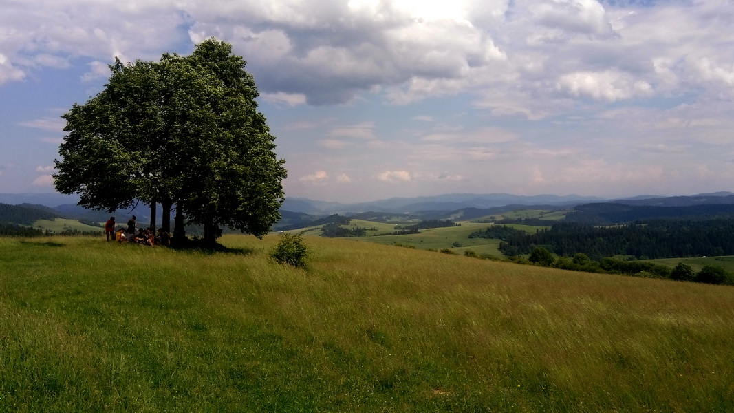 Pod szczytem Grandeusa w Spiskich Pieninach (fot. Paweł Klimek)