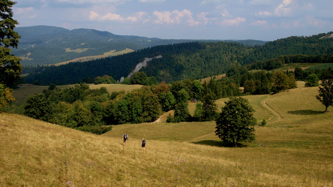 „Połoniny” Małych Pienin (fot. Paweł Klimek)