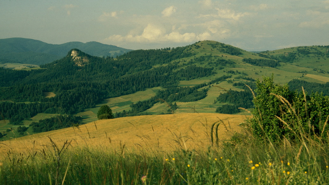 W Małych Pieninach (fot. Paweł Klimek)