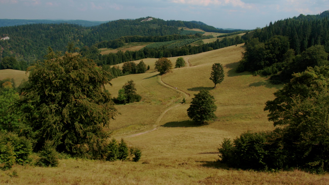 „Połoniny” Małych Pienin (fot. Paweł Klimek)