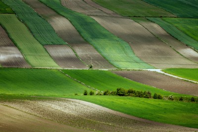 Ponidzie  /fot. S. Adamczak/