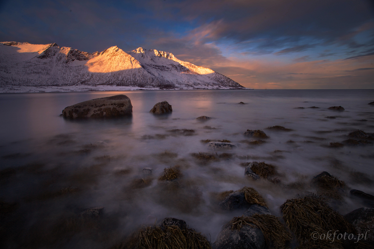 fot. Sławomir Adamczak okfoto.pl